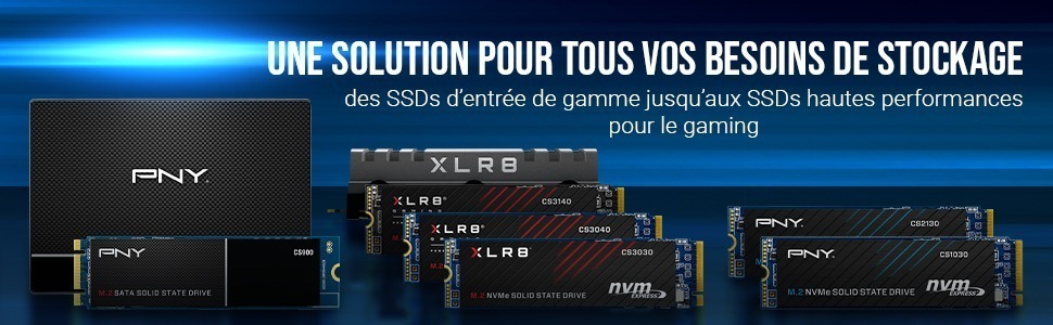 Informations NVME PNY 250GB CS10300 SSD 15