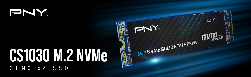Informations NVME PNY 250GB CS10300 SSD 1