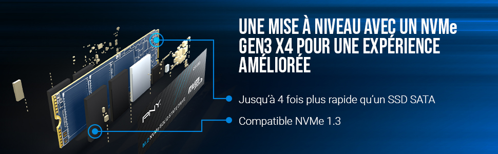 Informations NVME PNY 250GB CS10300 SSD 3